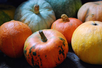 High angle view of pumpkins