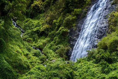 Waterfal called le voile de la mariee, salazie at reunion island