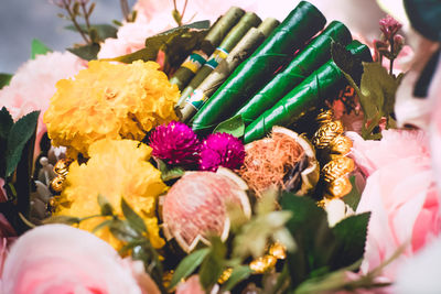 High angle view of multi colored flowering plant