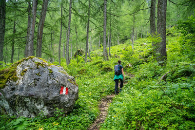 Woman hiking on alpine footpath in green forest in the austrian alps, postalm region, salzburg