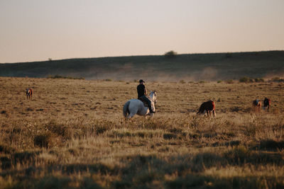 View of horses on field against sky