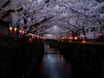 View of illuminated city at night