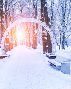 snow