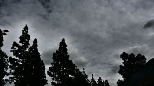 Low angle view of trees against cloudy sky