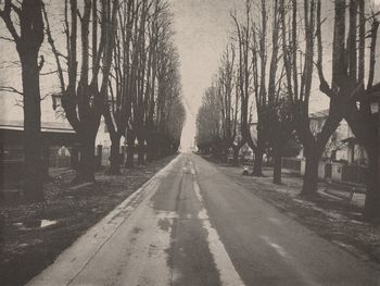 Road amidst bare trees during winter