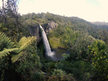 View of tree against sky