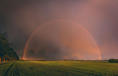 Scenic view of rainbow over agricultural field against sky