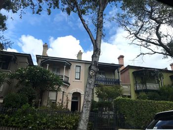 Low angle view of trees and buildings against sky