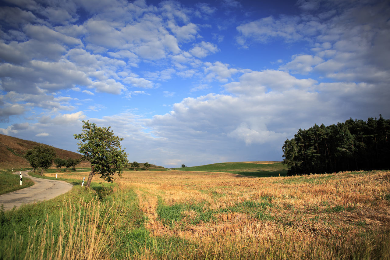 SCENIC VIEW OF RURAL LANDSCAPE