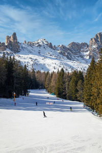 Ski slope called cigolade in vigo di fassa, italian dolomites in south tyrol with flat slopes