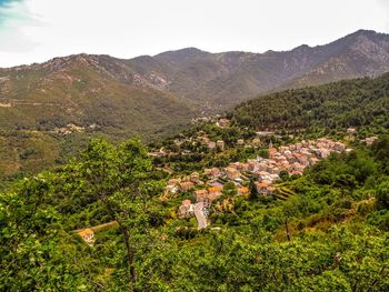 Scenic view of trees and mountains against sky