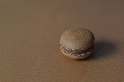 Close-up of seashell on table