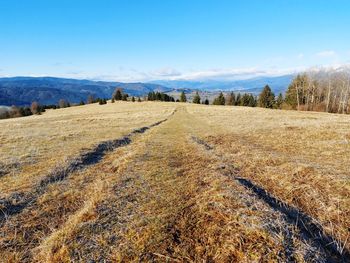 Scenic view of landscape against blue sky