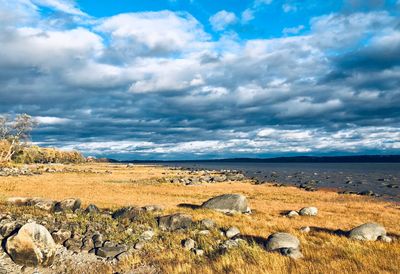 Scenic view of landscape against sky