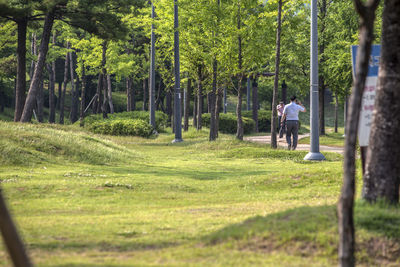 People walking in park