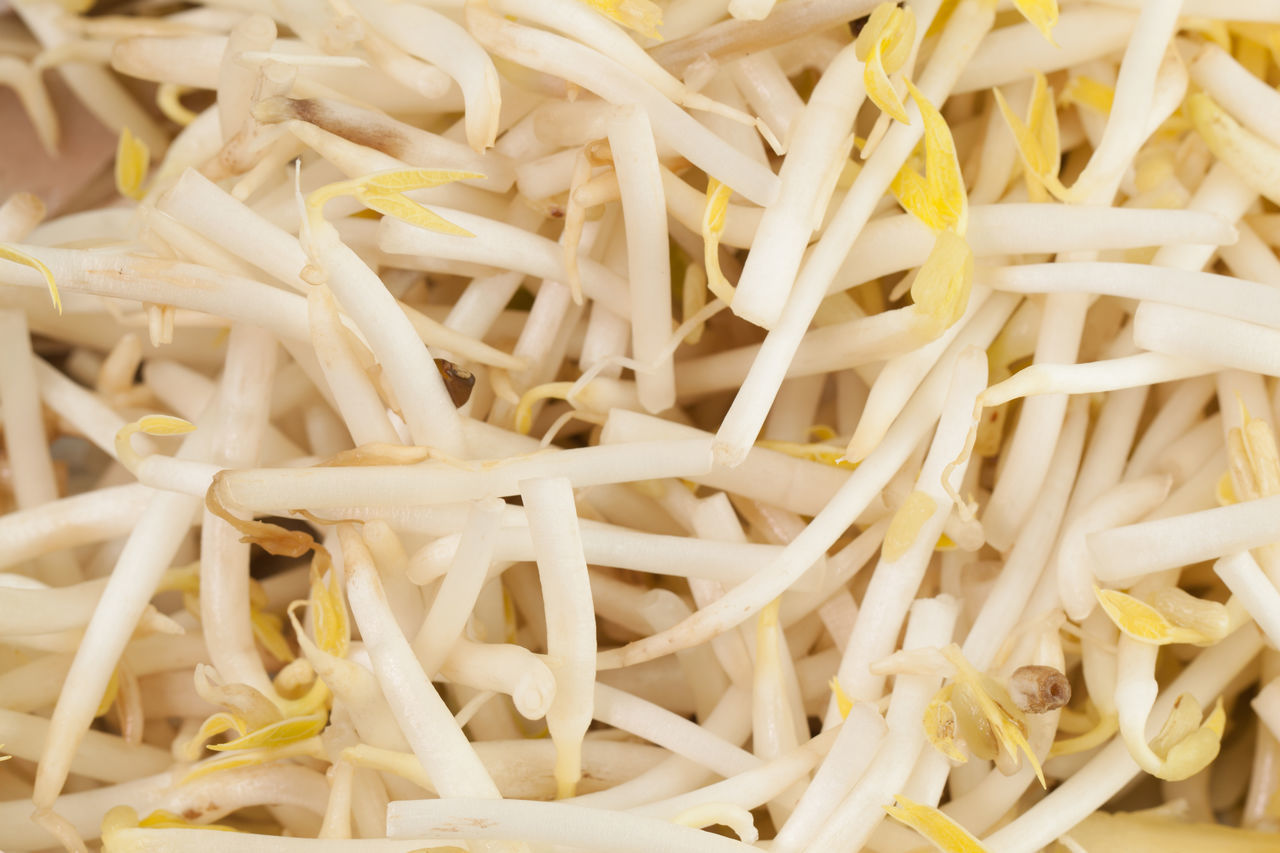 FULL FRAME SHOT OF RICE IN PLATE