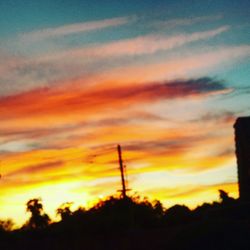 Low angle view of silhouette trees against sky at sunset