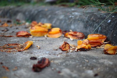 Close-up of autumn leaves on footpath