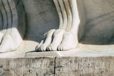 Close-up of hands statue