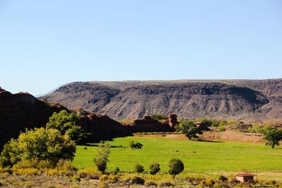 Scenic view of landscape against clear sky