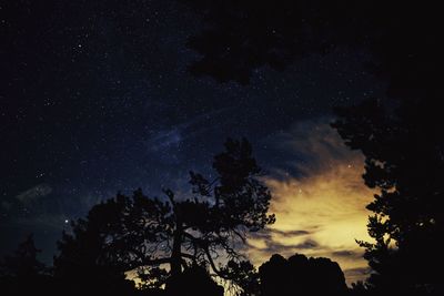 Low angle view of silhouette trees against sky at night