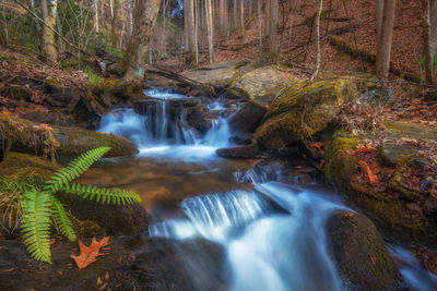 Scenic view of waterfall in forest