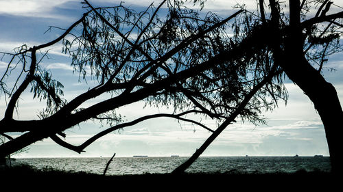 Silhouette bare tree by sea against sky
