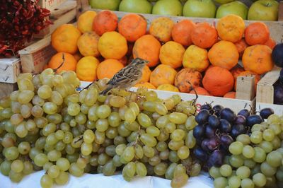 Food for sale at market stall