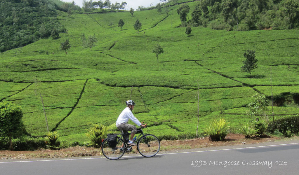 M.Fathony Djawahir