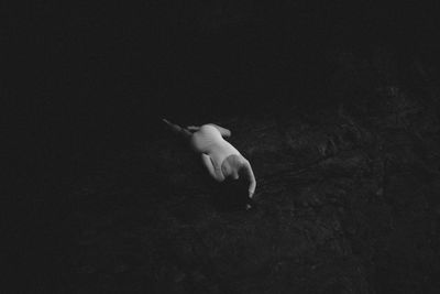 High angle view of duck swimming in water