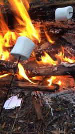 Close-up of bonfire