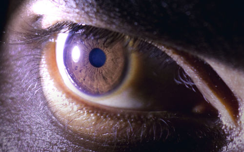 Close-up of human eye