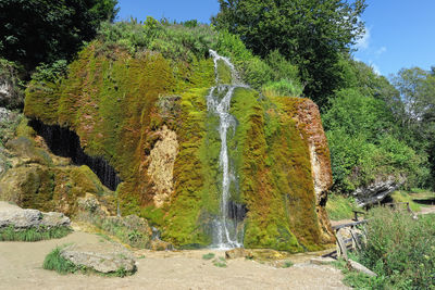 Scenic view of waterfall against trees in forest