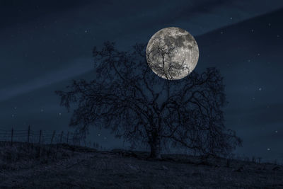 Scenic view of moon on field against sky at night