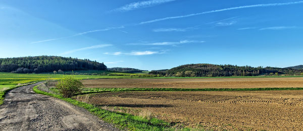 Scenic view of field against clear sky