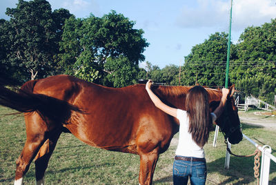 Rear view of woman measuring horse at ranch