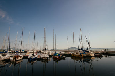 Sailboats moored in harbor