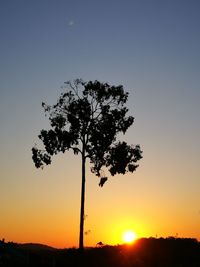 Silhouette tree against clear sky during sunset