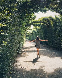 Rear view of young woman walking on footpath amidst trees