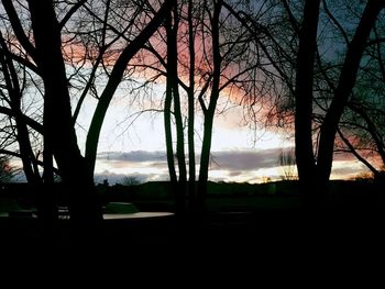 Silhouette bare trees on landscape against sky