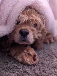 Lucie and her pink blanket