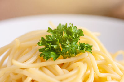 Close-up of fresh vegetables in plate