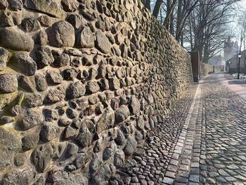 Shadow of tree on wall