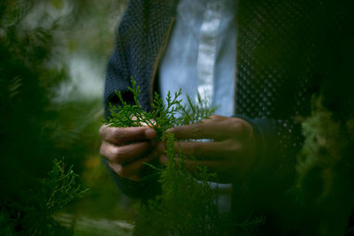 Close-up of hand holding plant