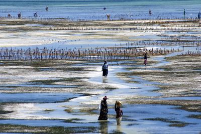 People enjoying at beach