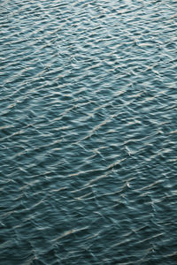 High angle view of swimming pool in sea