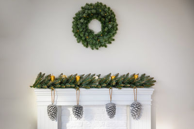 Potted plants hanging from tree