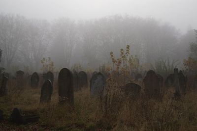 Cemetery against trees during foggy weather