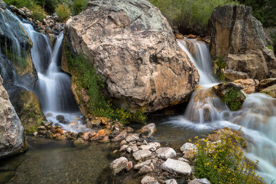 Scenic view of waterfall in forest