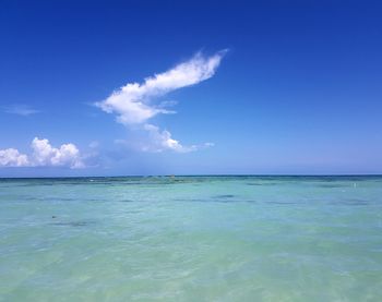 Scenic view of sea against blue sky